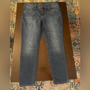 Size 12p Young & Modern Jeans never worn